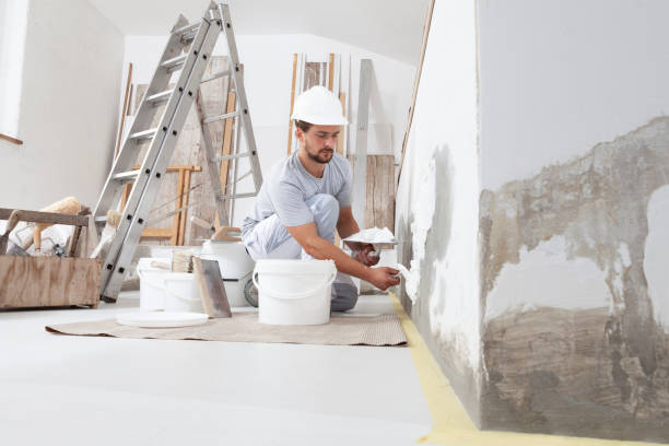 Best Drywall Crack Repair  in Blue Ridge, GA