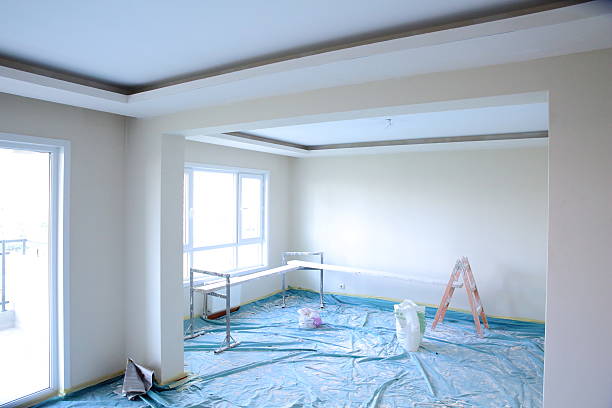 Best Drywall Removal and Disposal  in Blue Ridge, GA